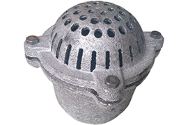 foot valve cast iron